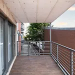 Madison Modern Oasis